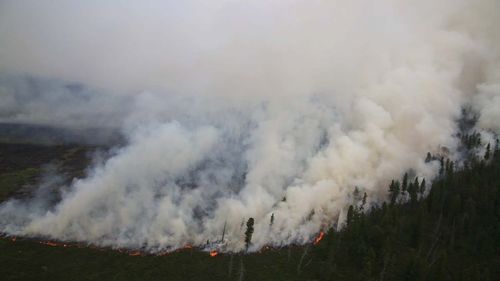 Ой, хээрийн түймрээс урьдчилан сэргийлэхийг анхааруулж байна